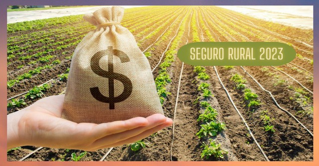 Mais de R$ 9 Bilhões são pagos em indenizações para o Seguro Rural no ano passado